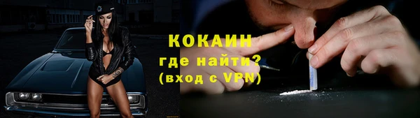 мдпв Богородск