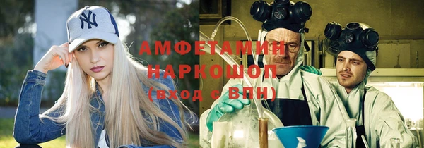 мдпв Богородск