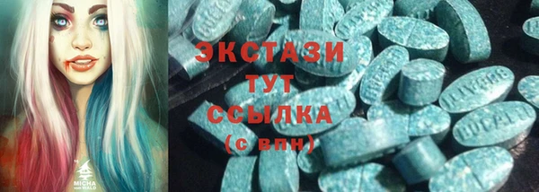 мдпв Богородск