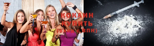 мдпв Богородск
