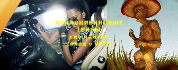 PSILOCYBIN Балабаново