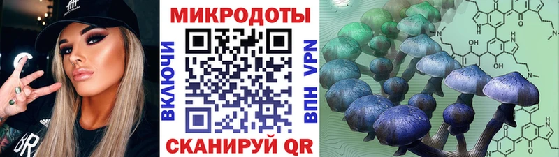 Псилоцибиновые грибы Magic Shrooms  продажа наркотиков  Духовщина 